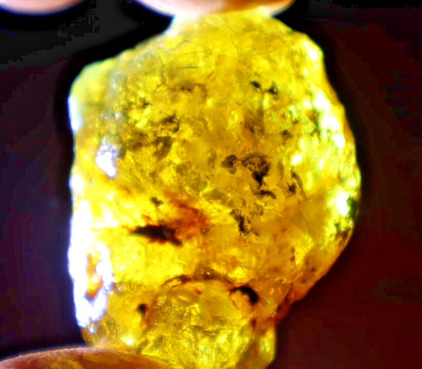 Beautiful Natural Dominican Clear Light BlueYellow Amber Rough Specimen 43mm 14g