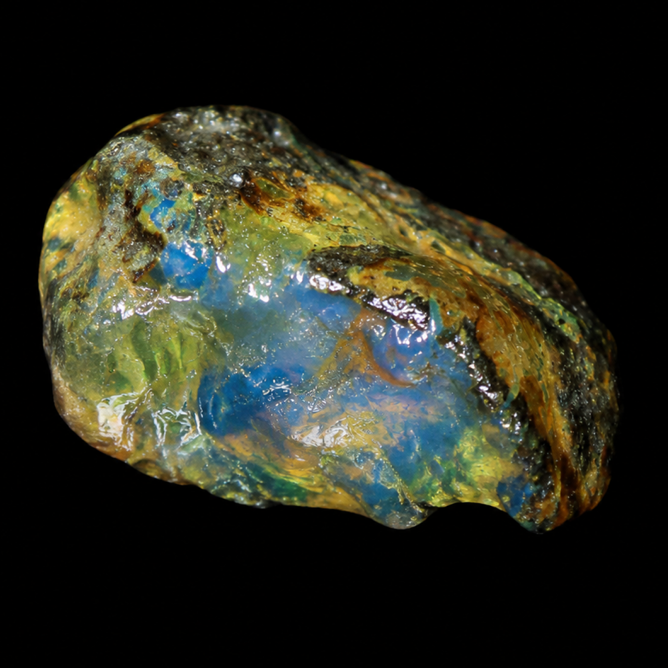 Clear deep blue Natural Dominican Amber rough Rough Specimen 34 mm