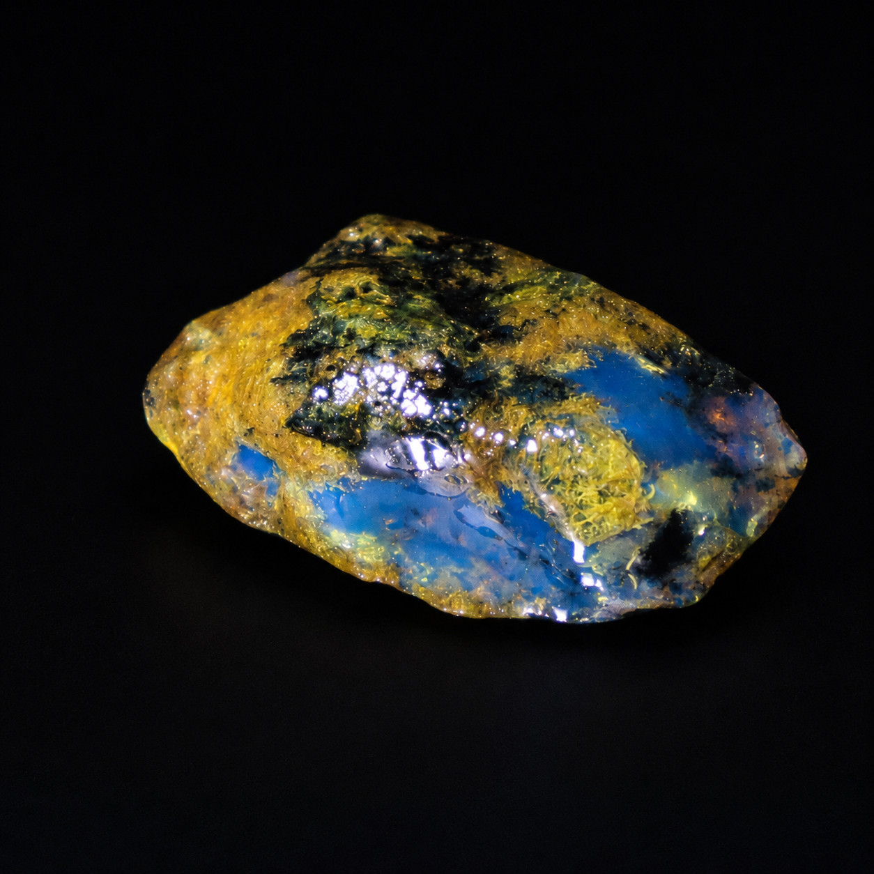 Unique Premium Deep Blue Dominican Amber Rough Specimen Chunk 37mm 8.5g