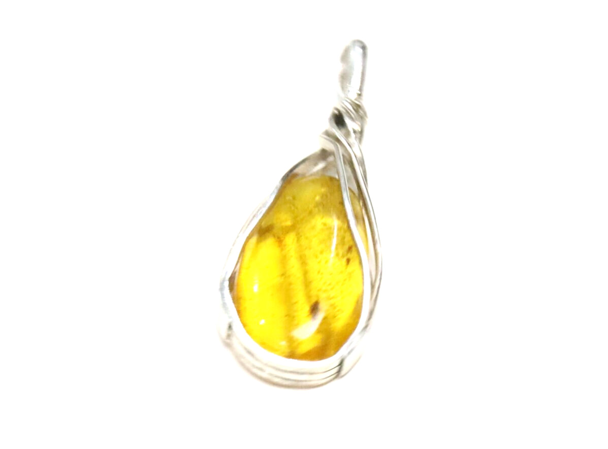 Natural Clear Amber fossil Insect Bee Wasp .925 Sterling Silver Pendant 50mm